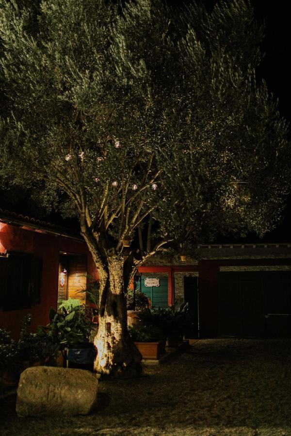 El Jardin De Gala Villa Castejon de Monegros Luaran gambar