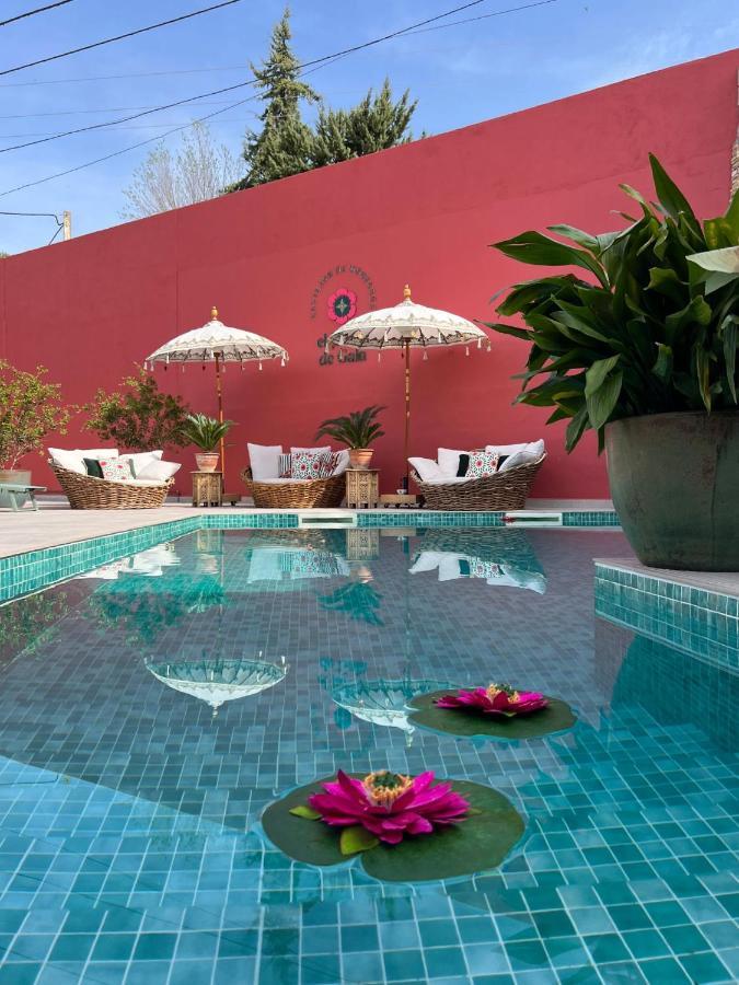 El Jardin De Gala Villa Castejon de Monegros Luaran gambar